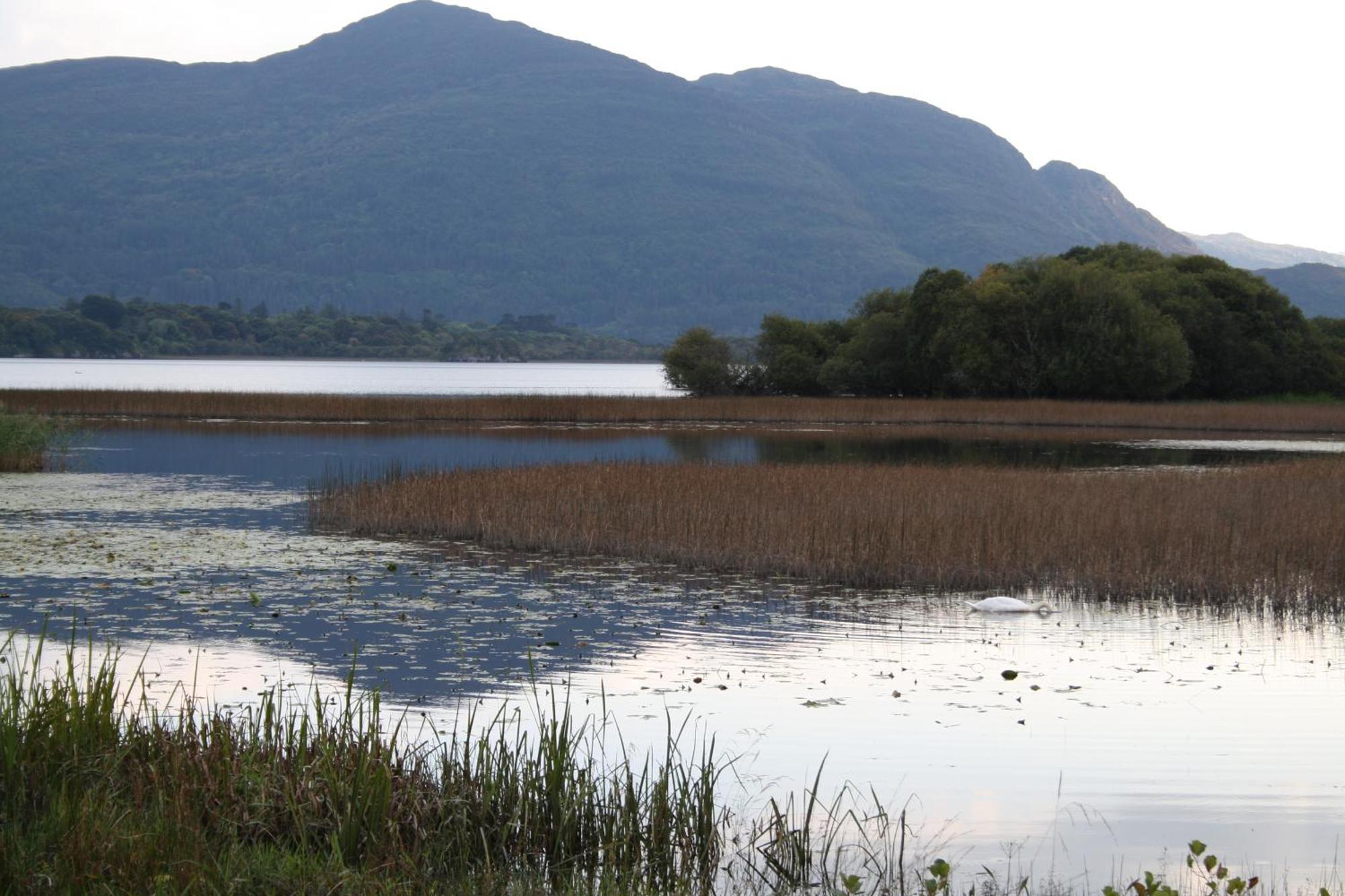 Innisfallen Holiday Homes By Trident Holiday Homes Killarney Cameră foto